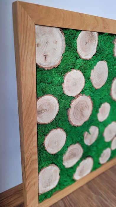 Duży obraz z mchu chrobotek, dębowa ramka, handmade, prezent