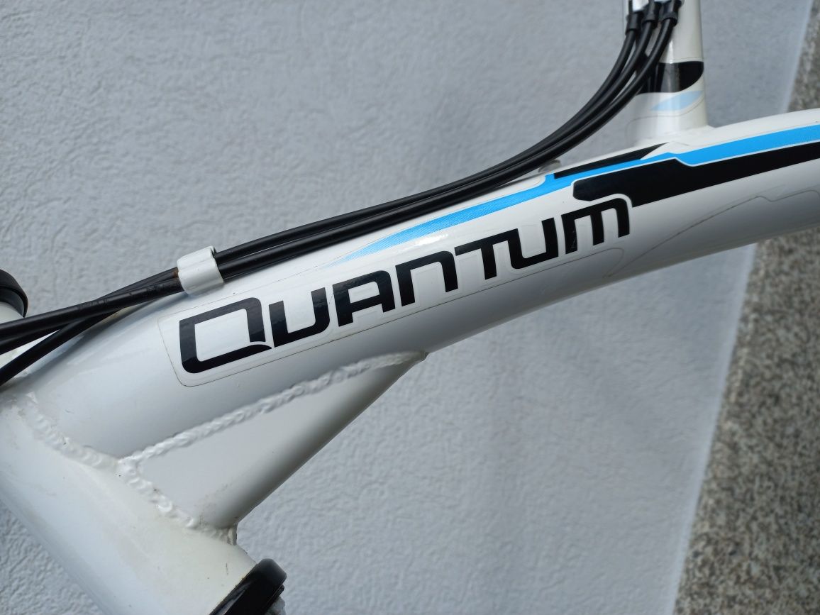 Bicicleta Quantum