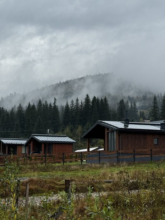 Дохідний бдинок у Карпатах!!!