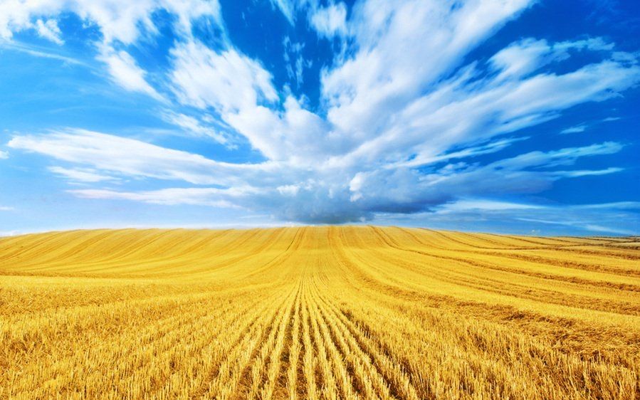 Репетитор з історіі України