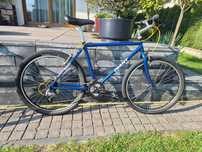 Giant Terrago '96 Retro MTB Deore Commuter