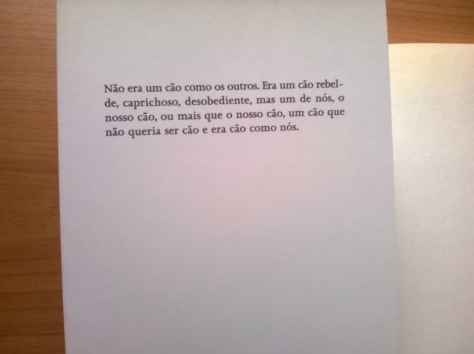 "Cão como Nós" - Manuel Alegre (portes grátis)