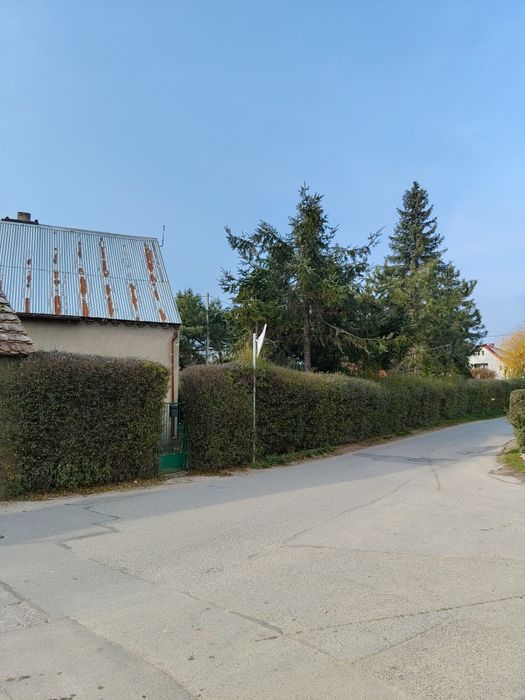 Dom wolnostojący z zabudowaniami w Gęsińcu