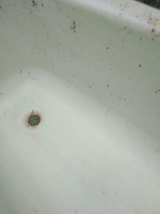 Ванна    Чугунна