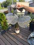 Lampa wisząca w stylu boho, loft, przecierka, glamour