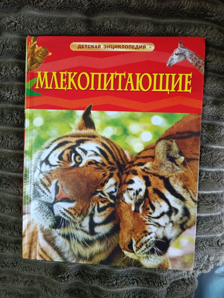 Энциклопедия Млекопитающие / енциклопедія ссавці / дитячі книжки