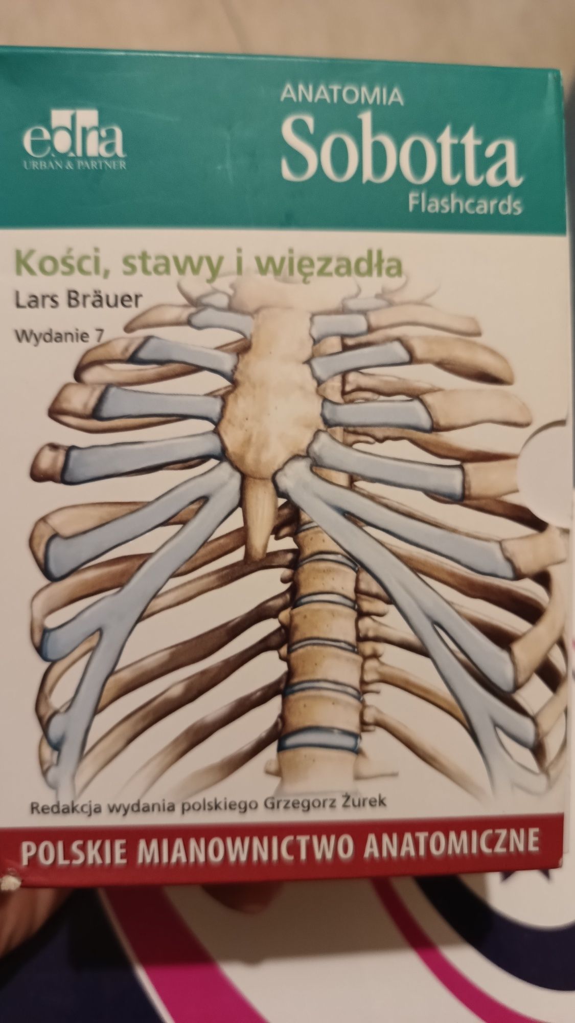 Sobota. Fiszki z anatomii