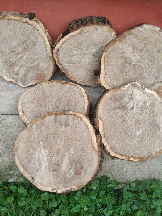 Plastry suche z czereśni, dębu