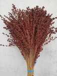 Vendo flores naturais para fazer arranjos