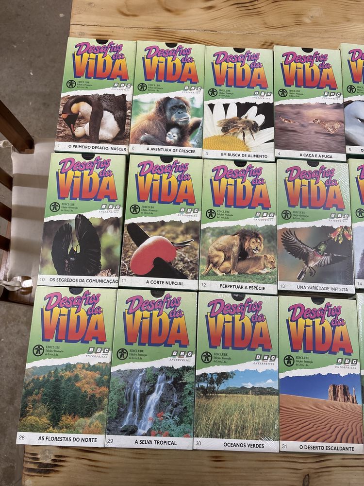 cacetes de video
