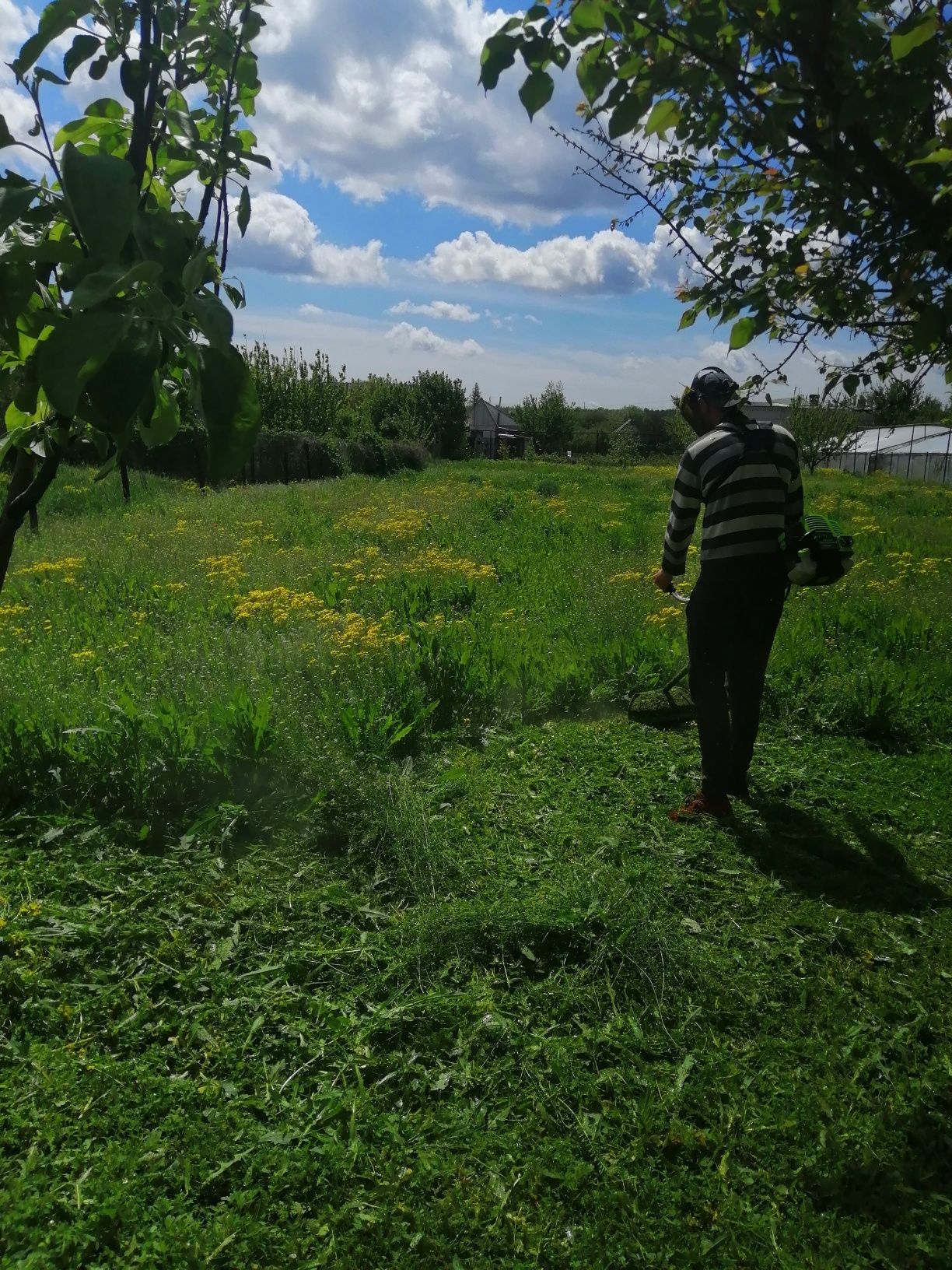 Покос травы, уборка территории, спил деревьев,работаем с ОСББ.