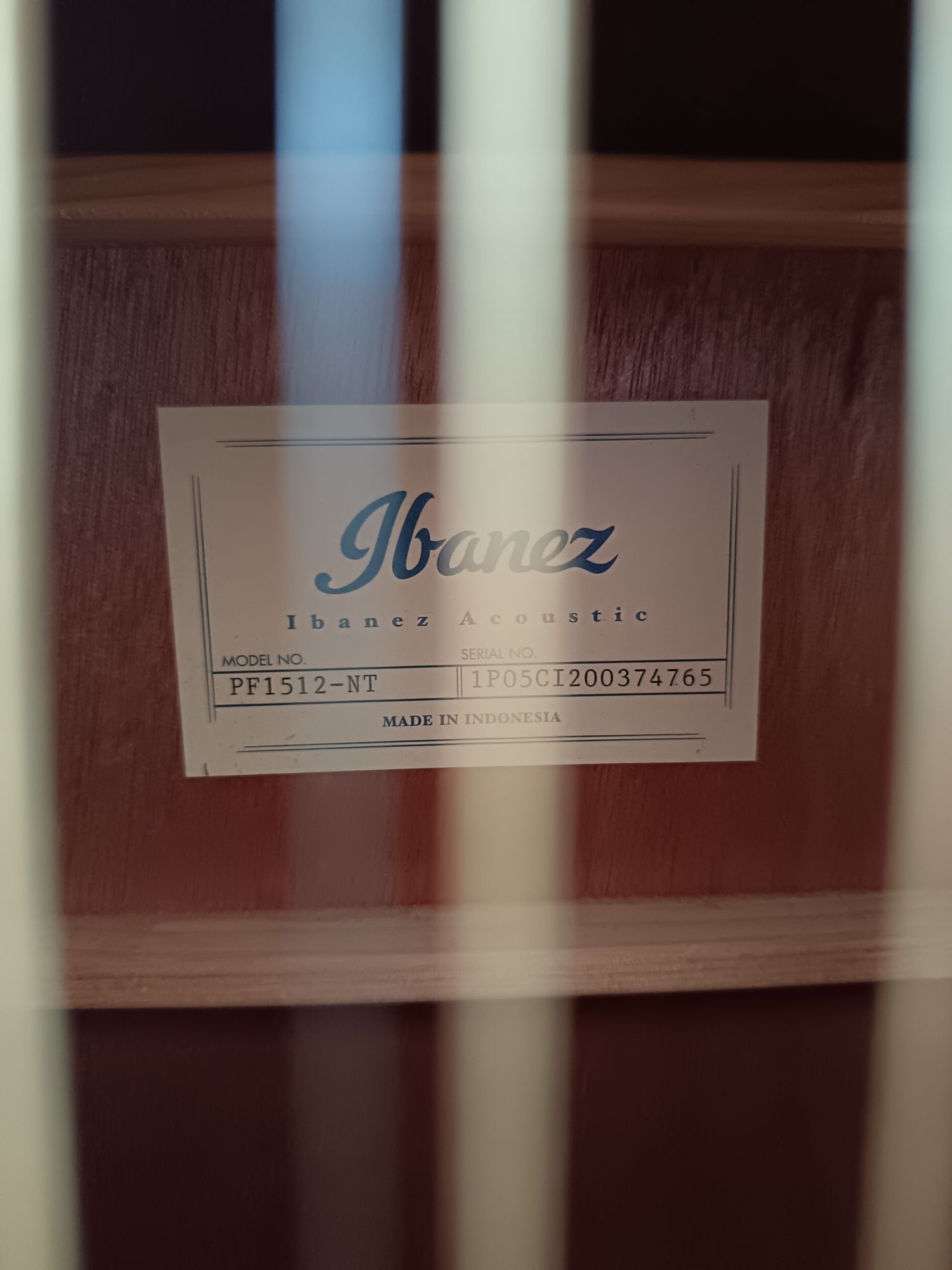 Ibanez 12 cordas