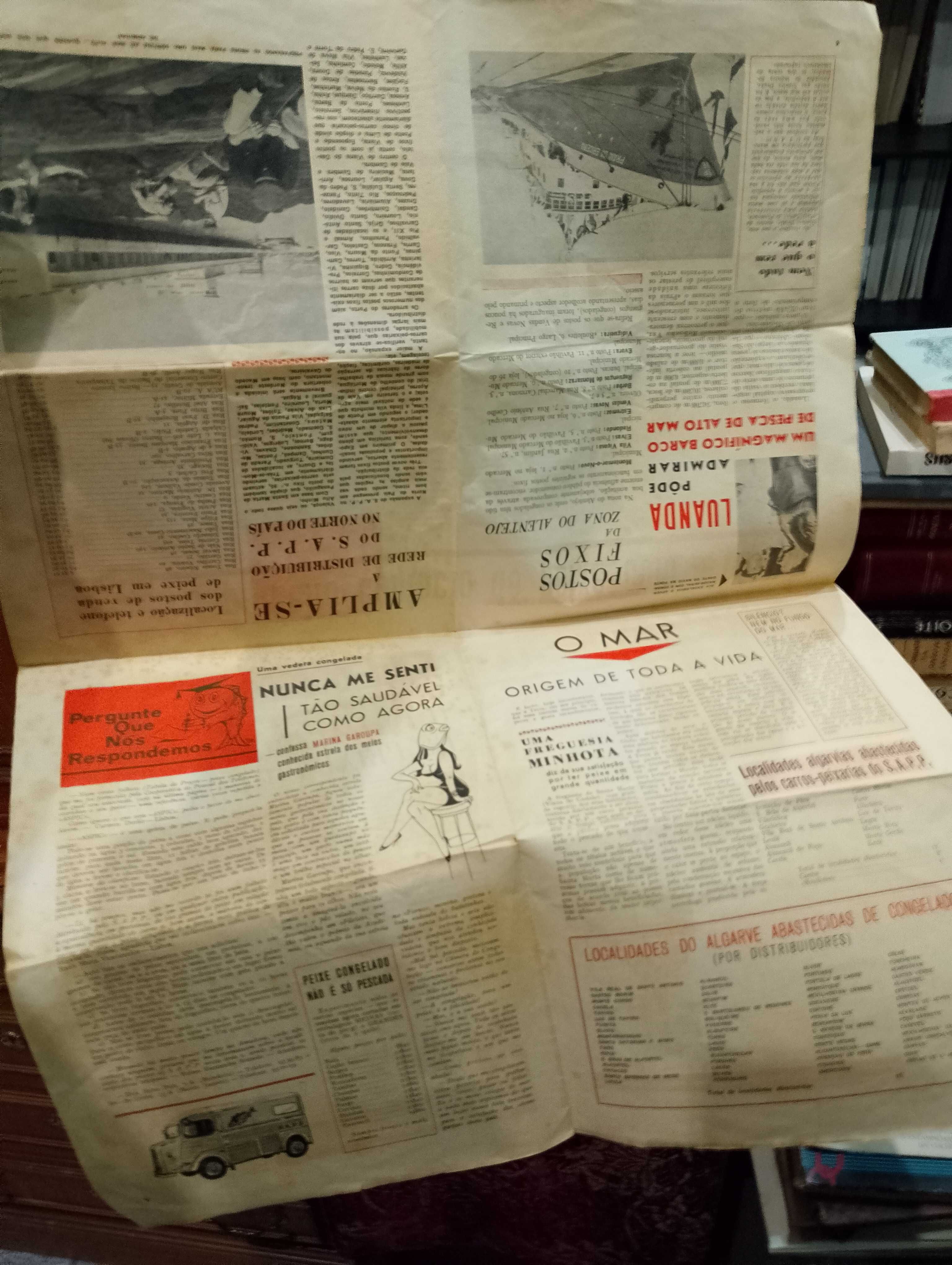 Jornal O Peixe "Lisboa" nº3 de 1967
