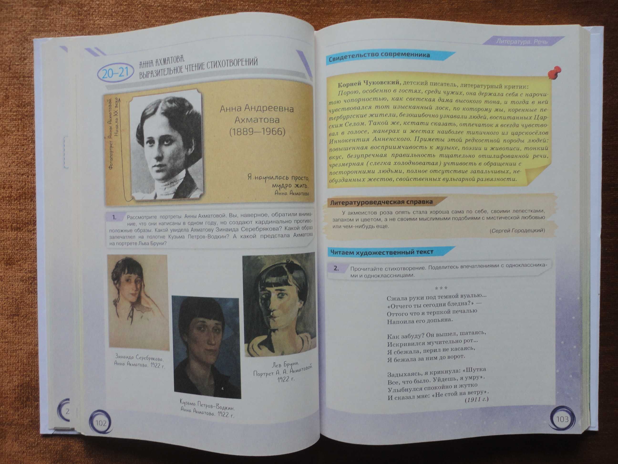 Учебник 11 класс. Русский язык и литература Давидюк Дядечко Халабаджах