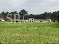 Casal do Meio - criação cavalos/turismo rural