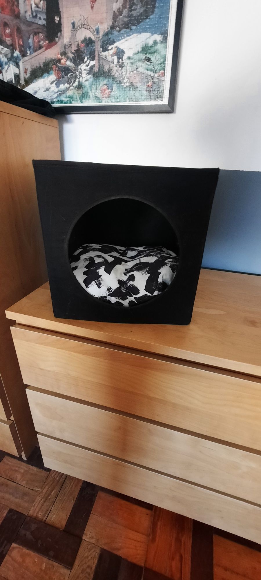 Cama gato quadrada com almofada
