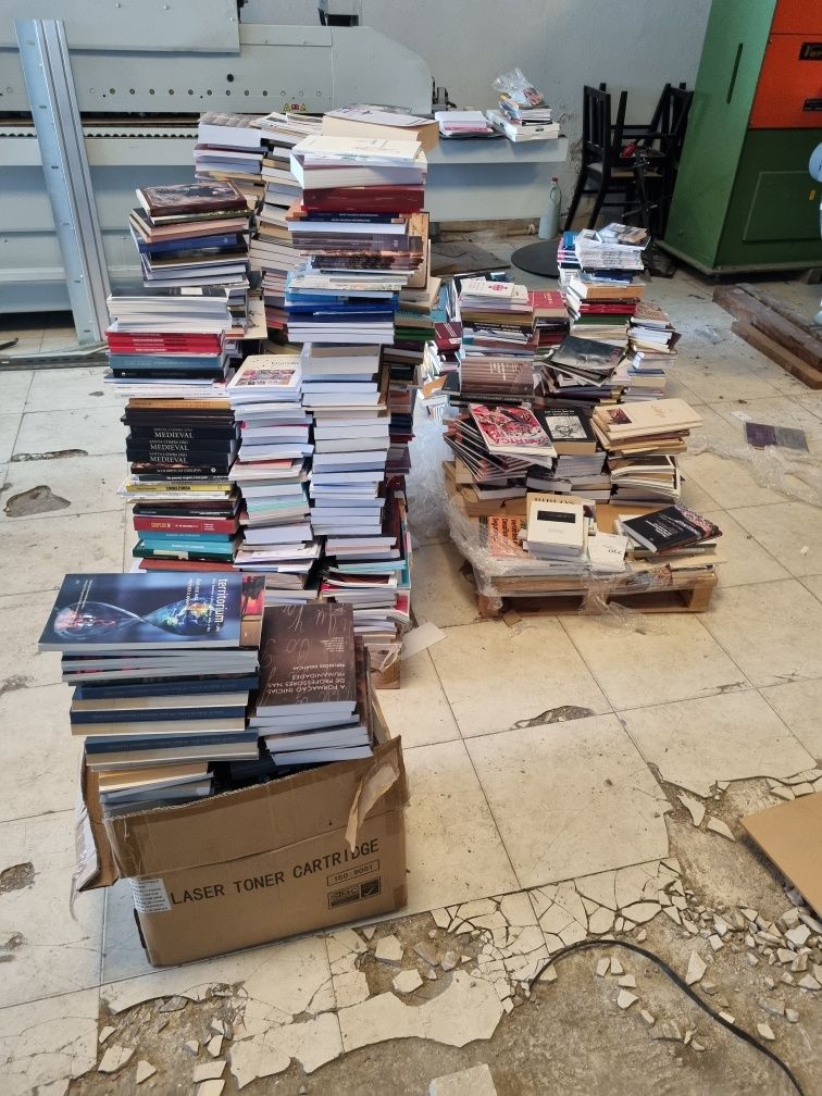 Lote de diversos livros