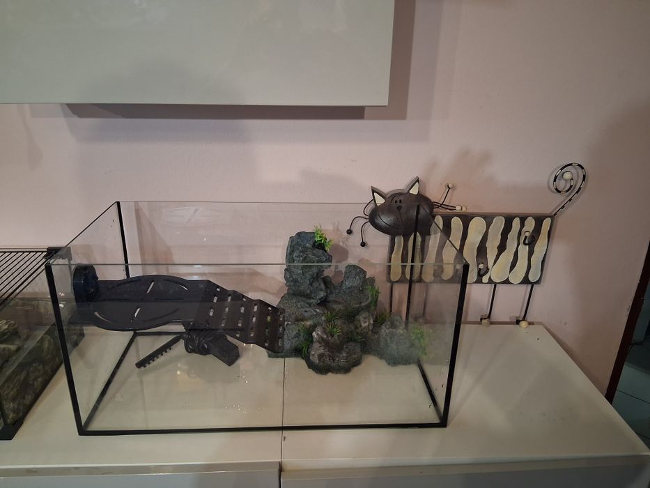 Akwarium z wyposażeniem