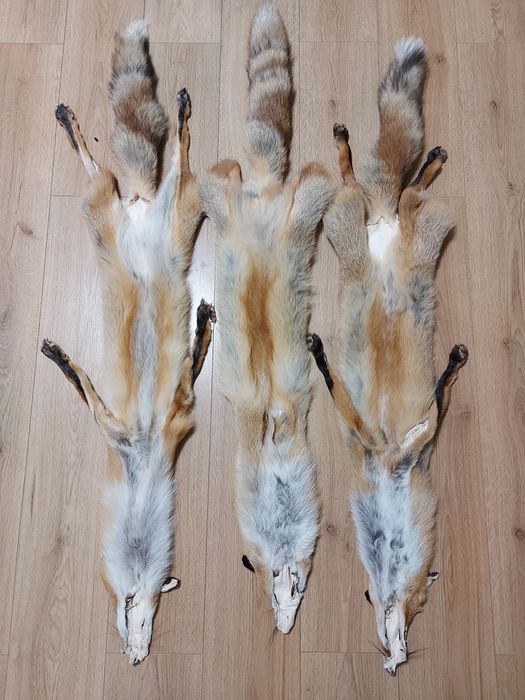 Хутро лиса, шкури лисиці