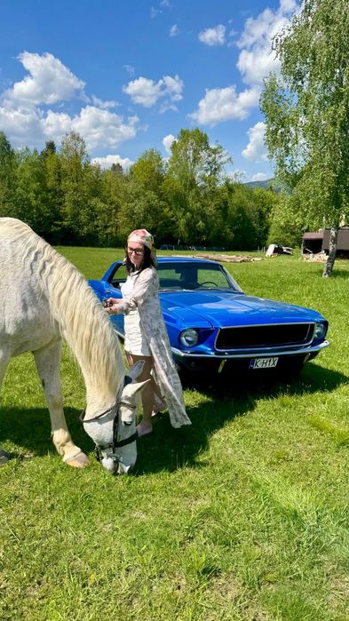 Ford Mustang Po renowacji, Klimatyzacja, super stan, Piękny kolor! Możliwa ZAMIANA