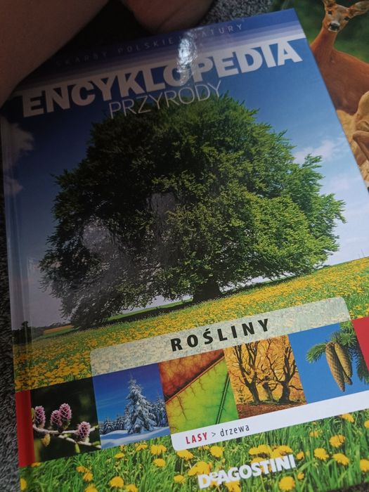 Encyklopedia przyrody zwierzeta rośliny