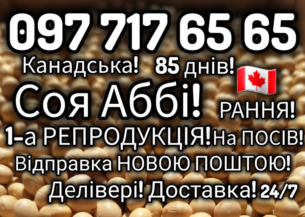 РАННЯ Канадська соя АББІ 1-А РЕПРОДУК. на ПОСІВ Відправка НП! Делівері