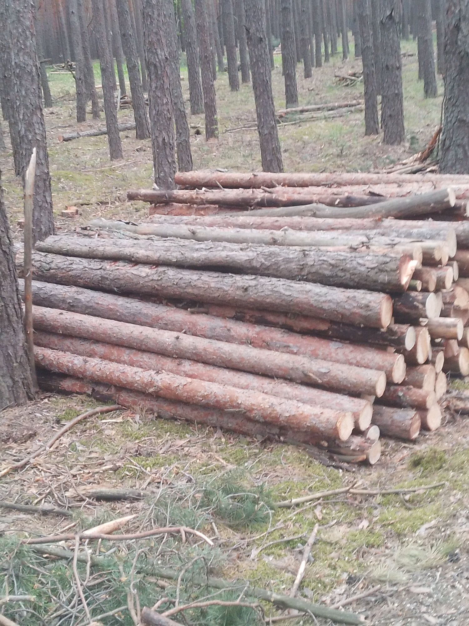 Дрова 900 гр чернігівська об розмір під замовника