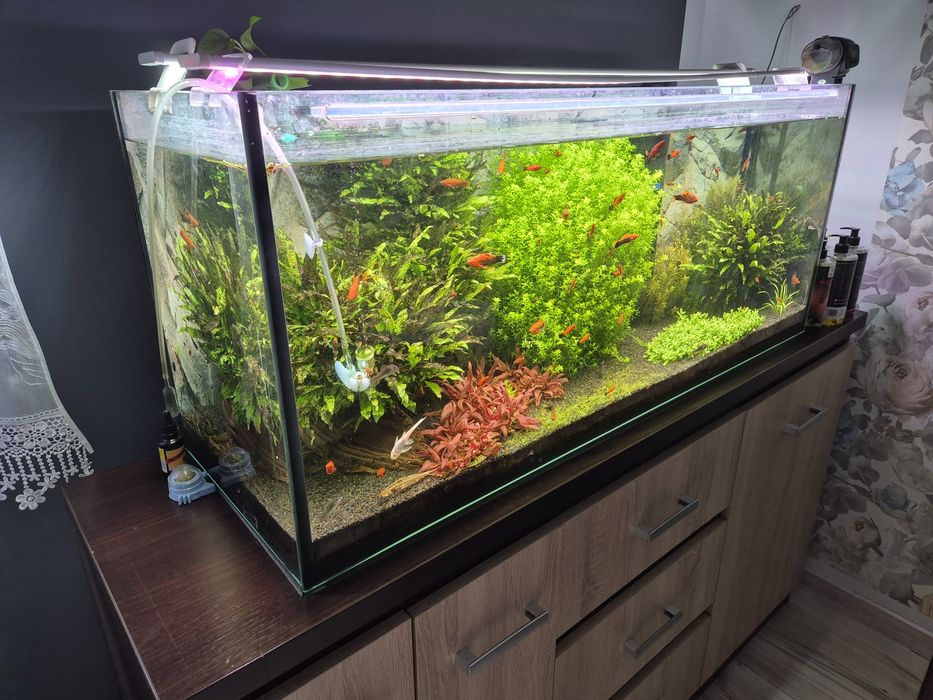 Akwarium 240l.    .