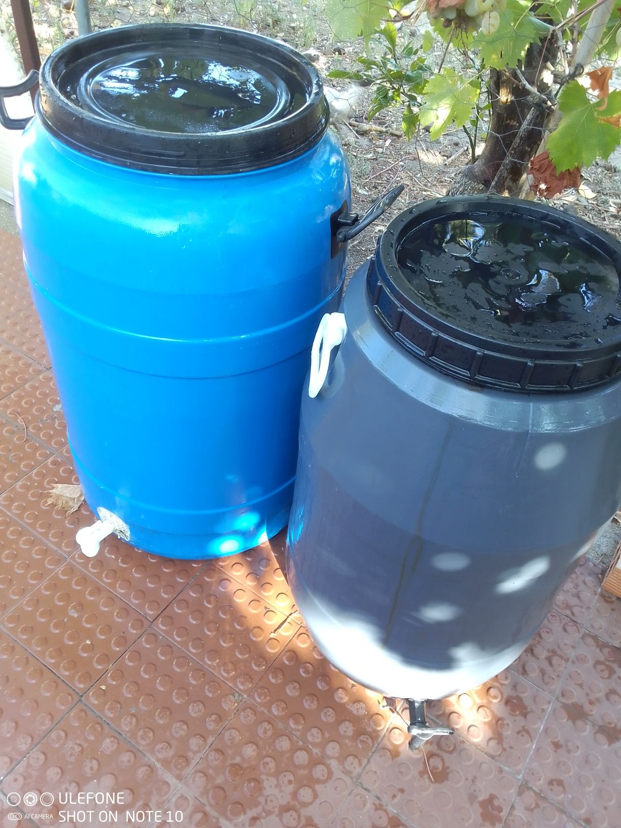 Dois depósitos para vinho 200 litros  cada