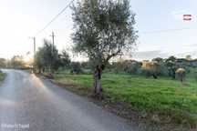 Terreno para construção, Atouguia
