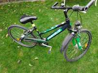 Rower trekkingowy Pegasus Avanti 24