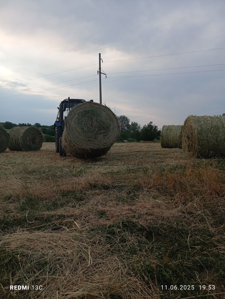 Сіно багатотрав'я