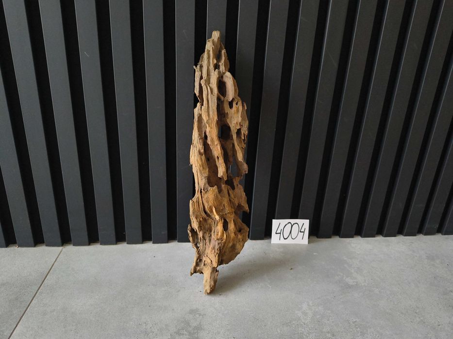 korzeń Driftwood Dragonwood 4004 DZIURAWY akwarium terrarium 40x10x8