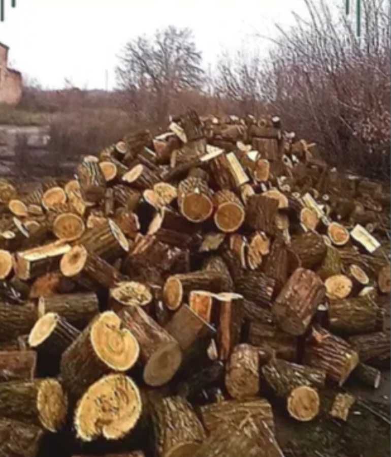 Дрова дуб,акация уложенные