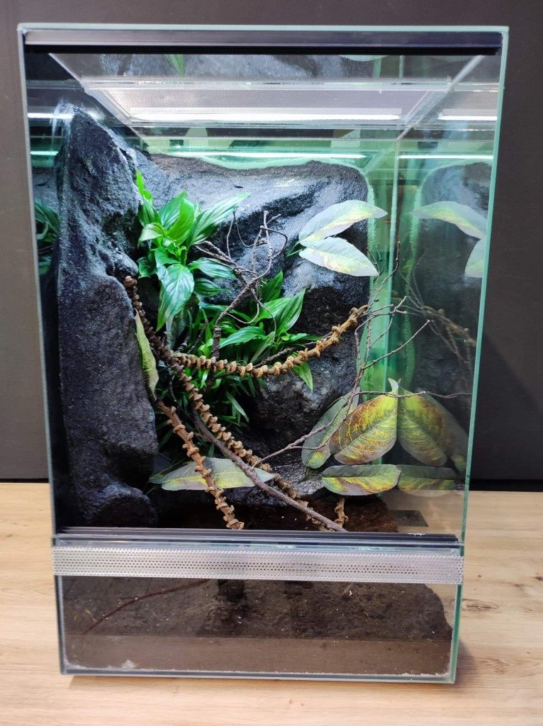 Terrarium szklane gekon żaba modliszka KOŚCIAN