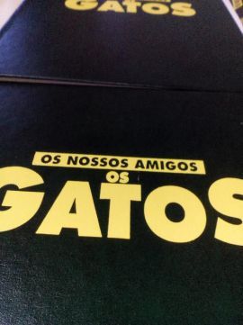 Os nossos amigos: Os GATOS.