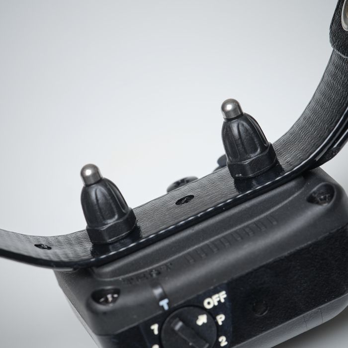 Coleira Antilatidos de Cão de Caça Dogtra YS 300