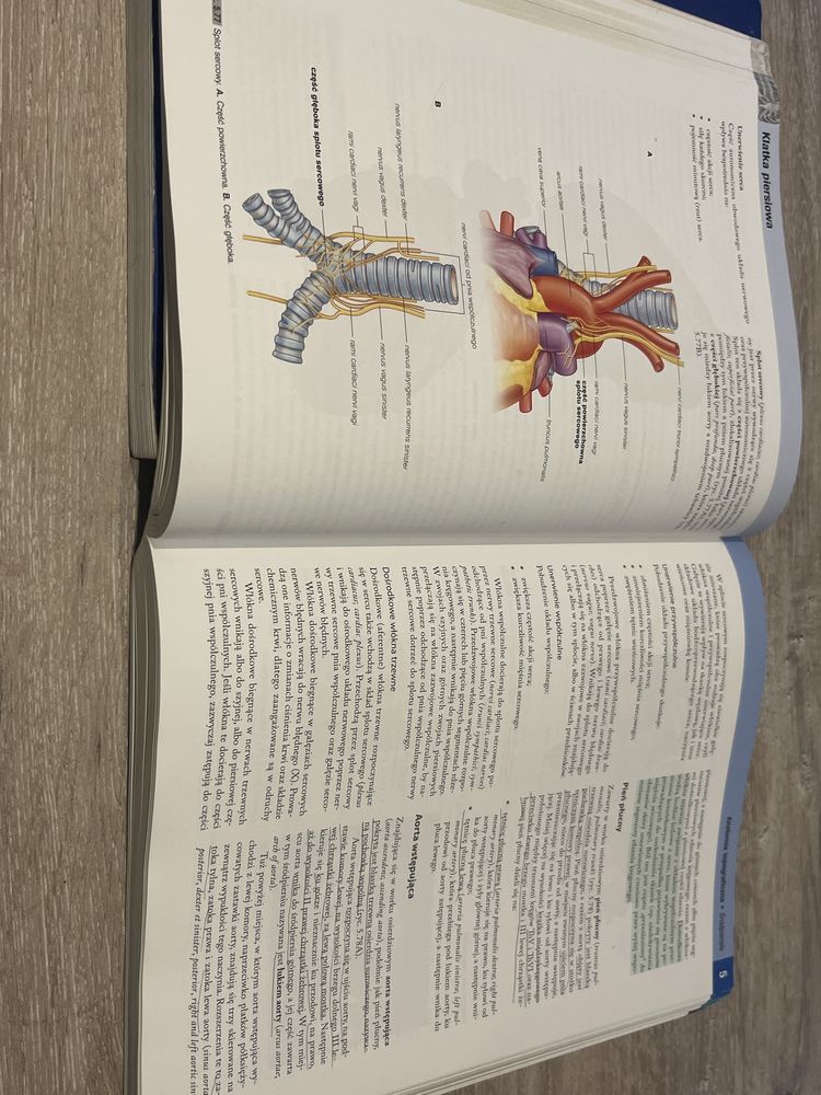Gray anatomia tom 1, 2