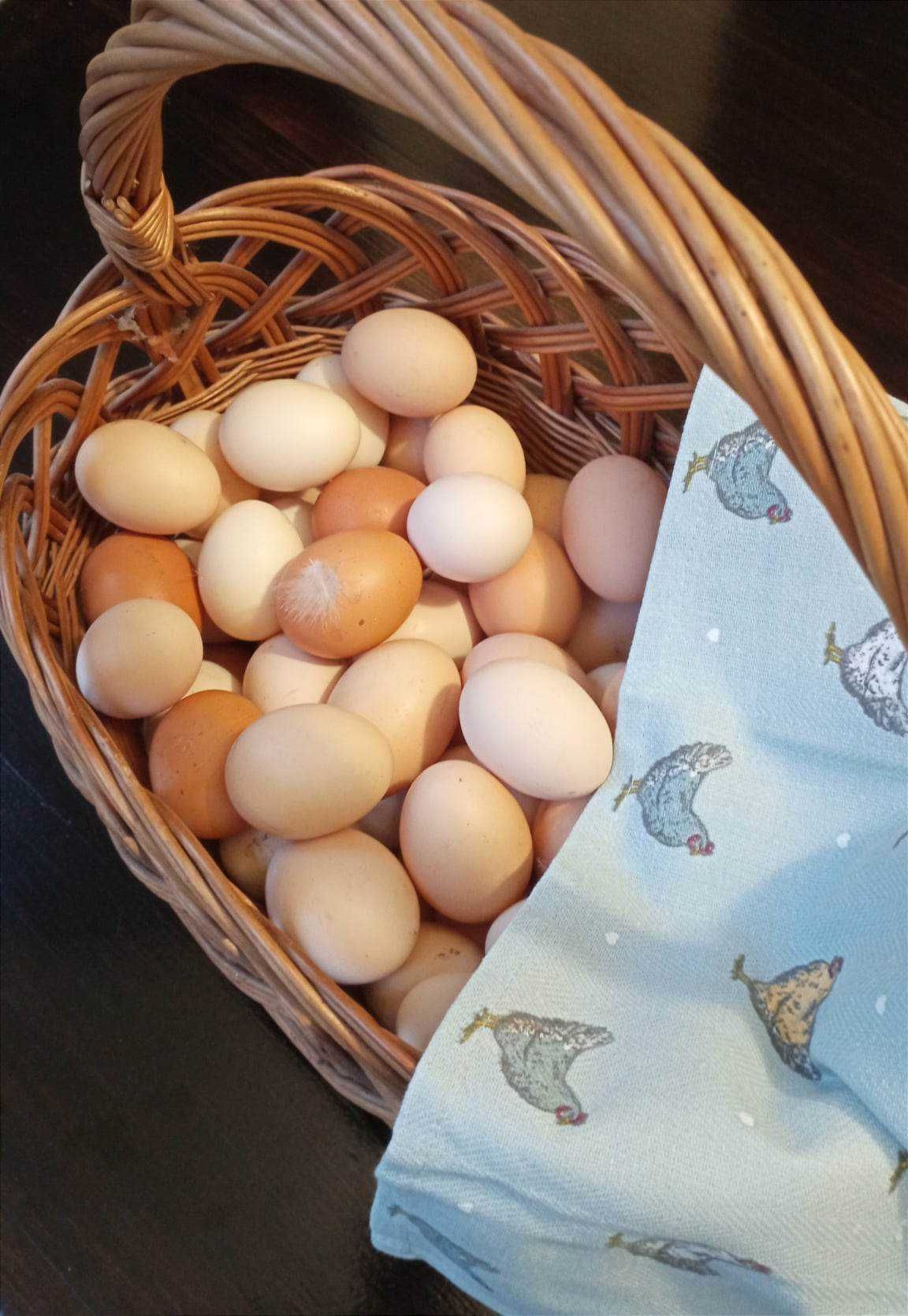 Zdrowe wiejskie jajka od szczęśliwych kurek