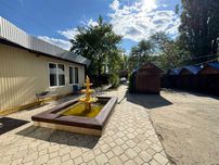 Ліски діюче кафе 143 кв.м. окремий свій двір 7соток ціна 150 тис. у.о.