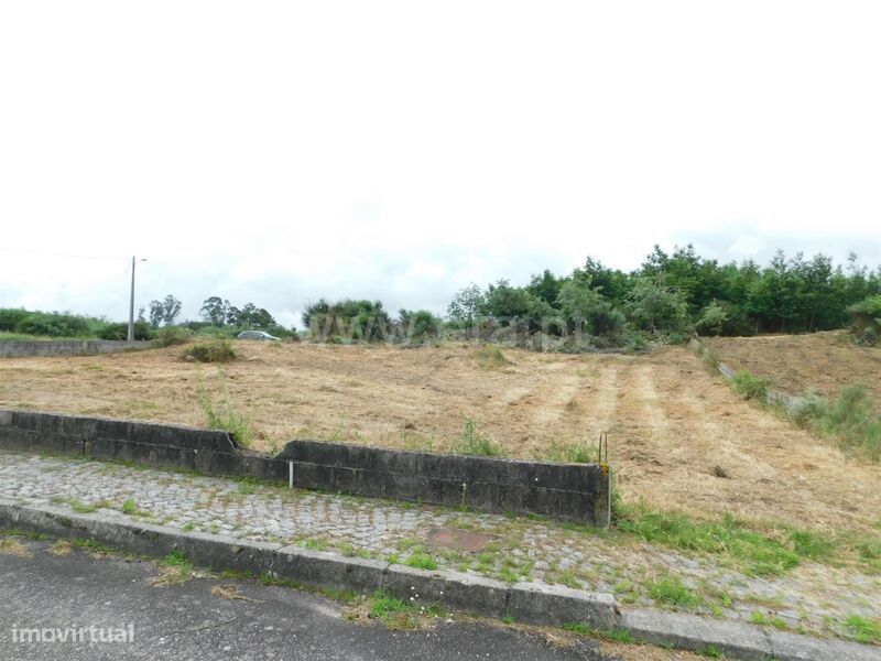 Terreno para Construção / Oliveira do Hospital, Travanca de Lagos
