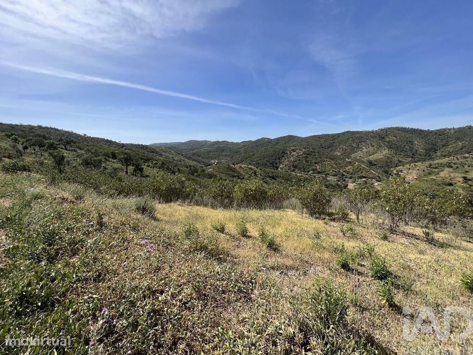 Terreno em Alte de 21390,00 m2