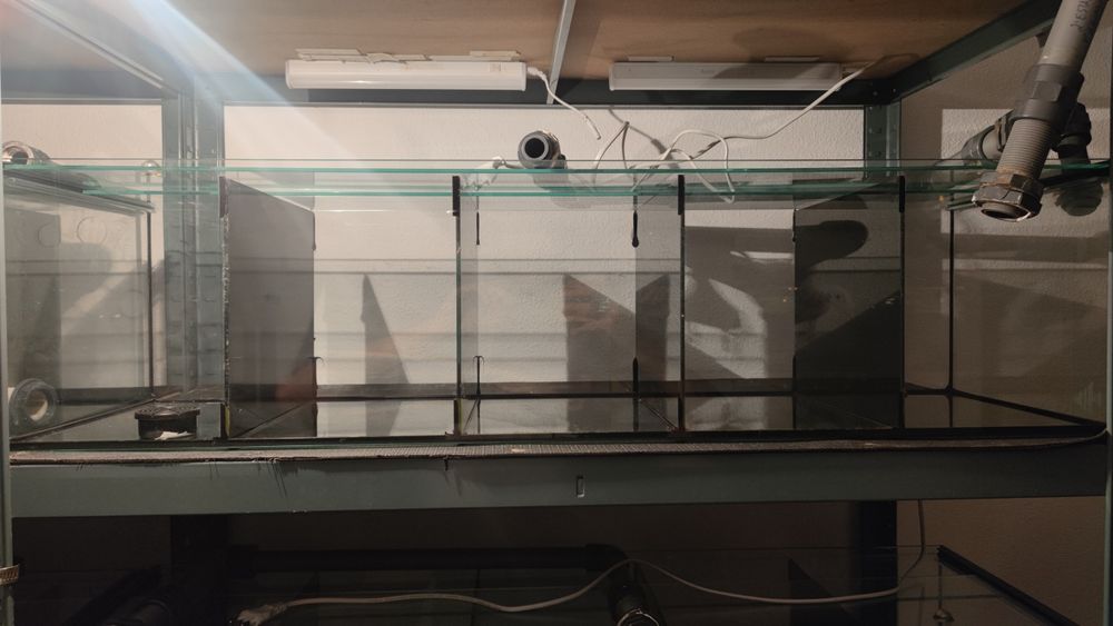 Beteiras, Aquários para Betas.