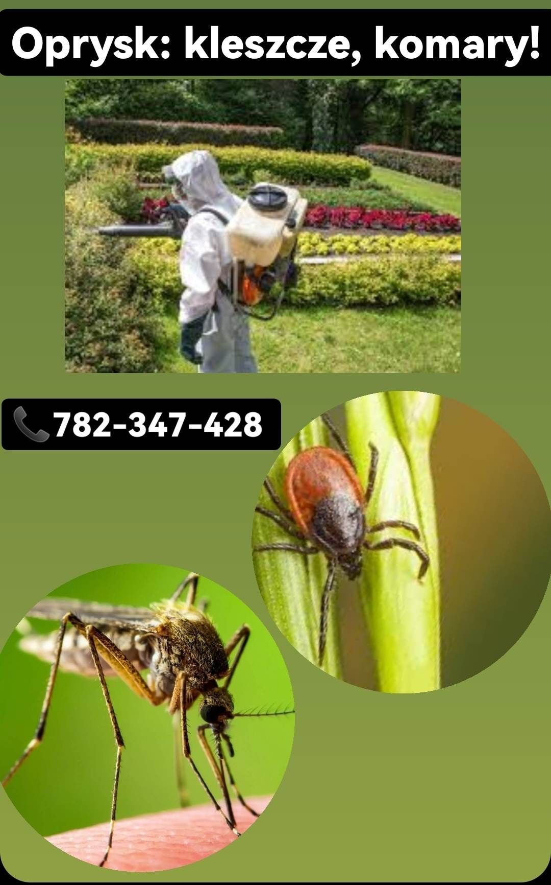 Oprysk kleszcze komary muchy