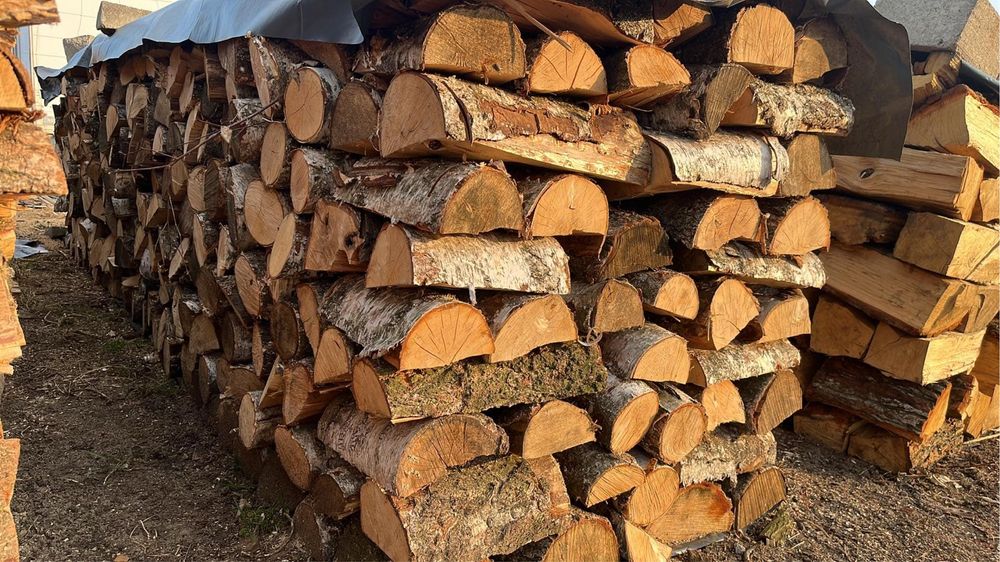 Drewno kominkowe  Akacja vsGrab Jesion Buk Dab Brzoza Sosna