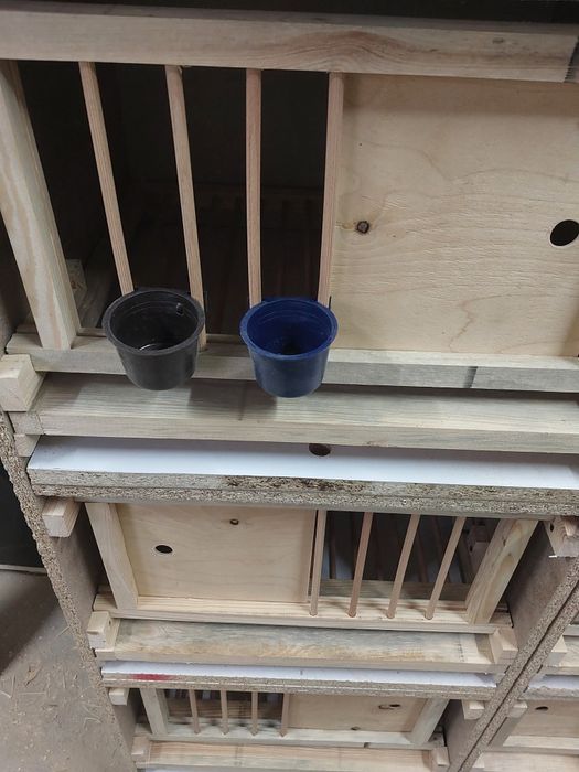 Cele dla golebi z rusztem I szuflada