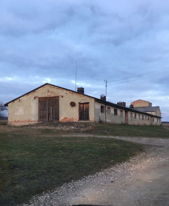 Продам або здам в оренду ферму