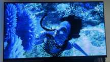 TV Smart Oled Samsung S90D 65