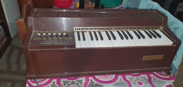 Electric chord organ magnus