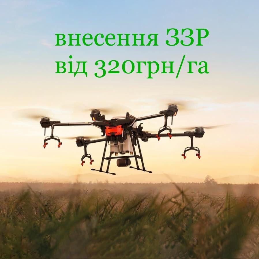 Ріпак. Внесення ЗЗР дроном. Обприскування дроном. Десикація дроном